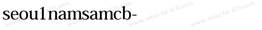 seou1namsamcb字体转换