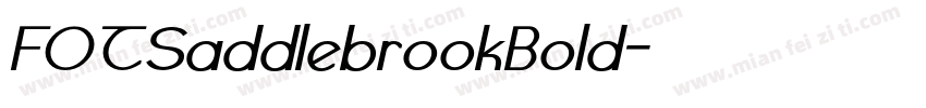 FOTSaddlebrookBold字体转换