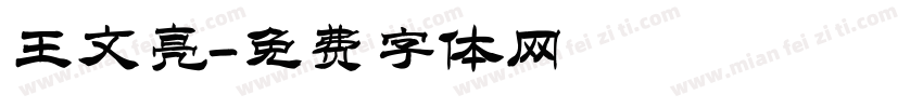 王文亮字体转换