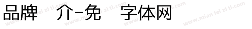 品牌简介字体转换