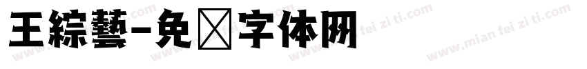 王綜藝字体转换