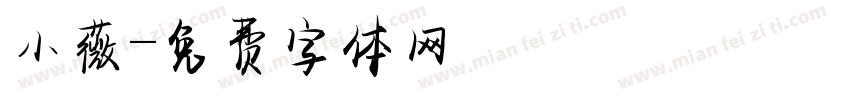 小薇字体转换