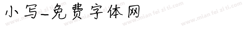 小写字体转换