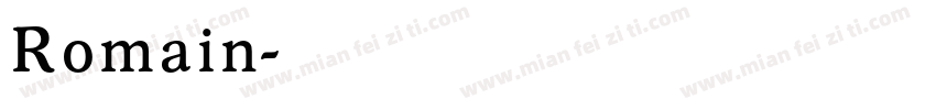 Romain字体转换