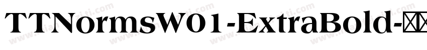 TTNormsW01-ExtraBold字体转换