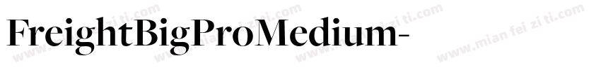 FreightBigProMedium字体转换