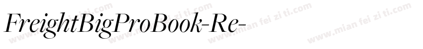 FreightBigProBook-Re字体转换