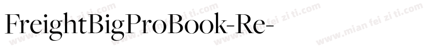 FreightBigProBook-Re字体转换