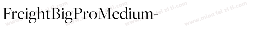 FreightBigProMedium字体转换