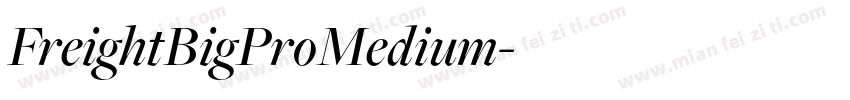 FreightBigProMedium字体转换