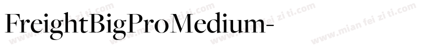 FreightBigProMedium字体转换