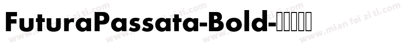 FuturaPassata-Bold字体转换