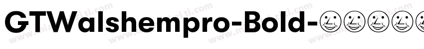 GTWalshempro-Bold字体转换