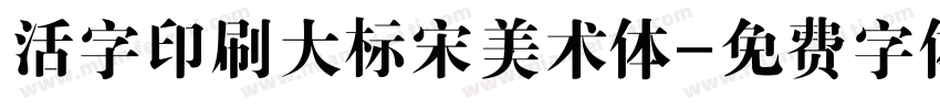 活字印刷大标宋美术体字体转换