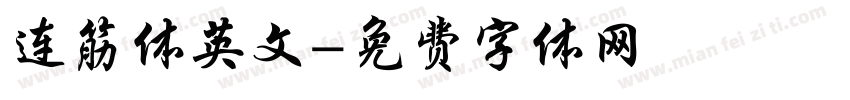 连筋体英文字体转换