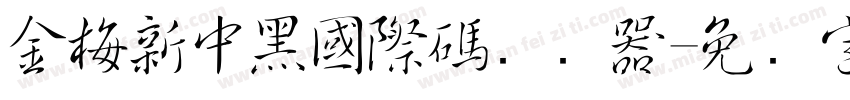 金梅新中黑國際碼转换器字体转换