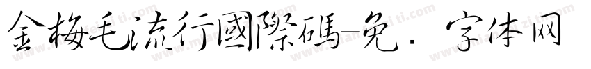 金梅毛流行國際碼字体转换
