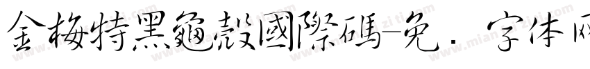 金梅特黑龜殼國際碼字体转换