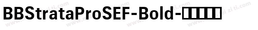 BBStrataProSEF-Bold字体转换