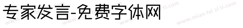 专家发言字体转换