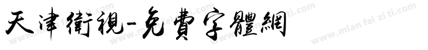天津卫视字体转换