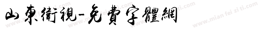 山东卫视字体转换