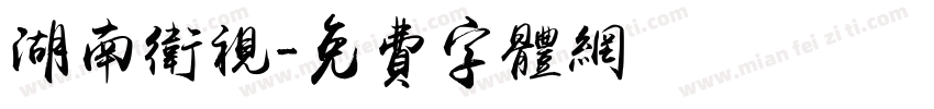 湖南卫视字体转换