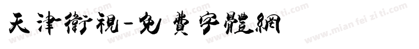 天津卫视字体转换