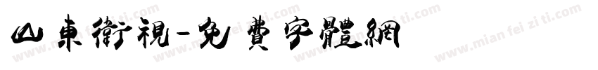 山东卫视字体转换