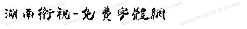 湖南卫视字体转换