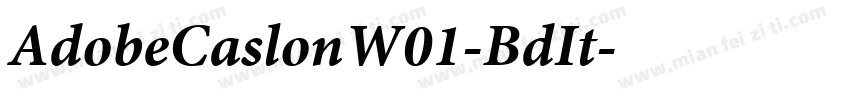 AdobeCaslonW01-BdIt字体转换
