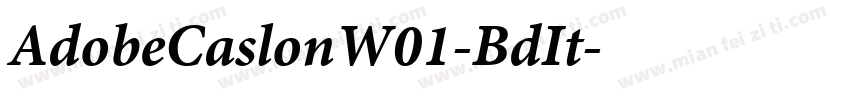 AdobeCaslonW01-BdIt字体转换