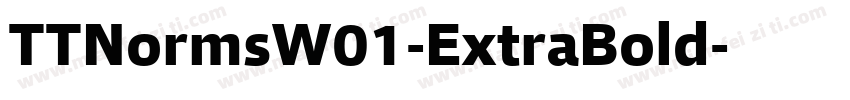 TTNormsW01-ExtraBold字体转换