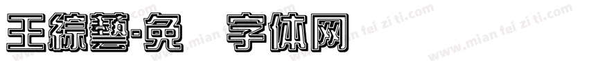 王綜藝字体转换