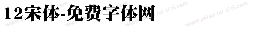12宋体字体转换