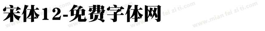 宋体12字体转换