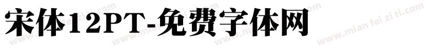 宋体12PT字体转换