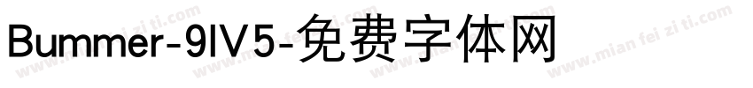 Bummer-9lV5字体转换