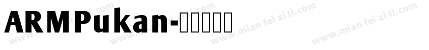 ARMPukan字体转换