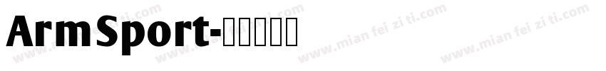 ArmSport字体转换