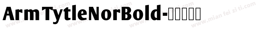 ArmTytleNorBold字体转换