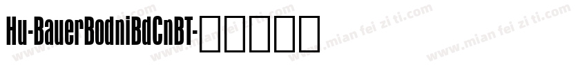 Hu-BauerBodniBdCnBT字体转换