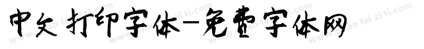 中文打印字体字体转换