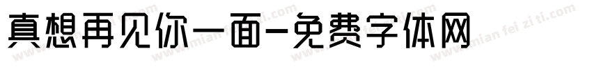 真想再见你一面字体转换