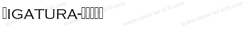 Ligatura字体转换