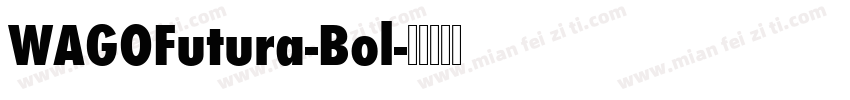 WAGOFutura-Bol字体转换