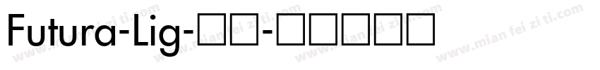 Futura-Lig-常规字体转换
