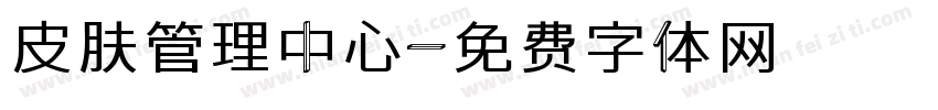 皮肤管理中心字体转换