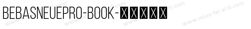 BebasNeuepro-Book字体转换