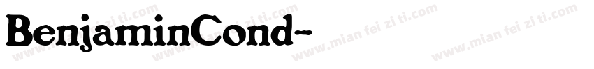 BenjaminCond字体转换